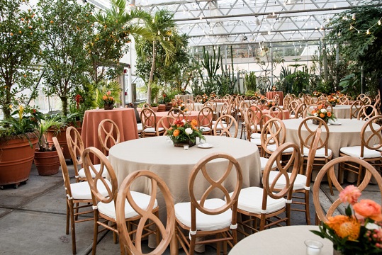 Chairs & Barstools Chairs & Barstools